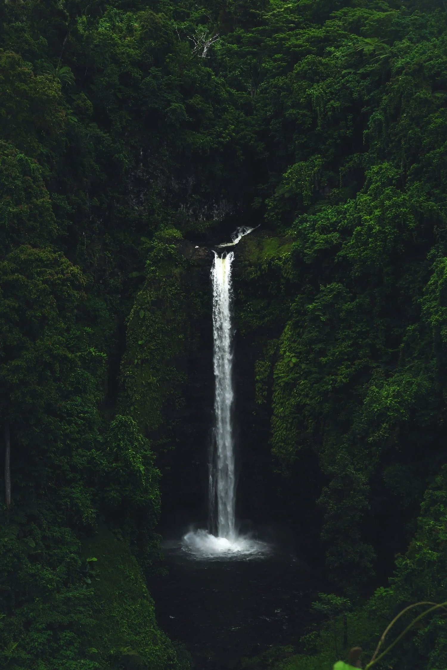 A tall, narrow waterfall cascading into a dark pool, surrounded by dense green jungle foliage.