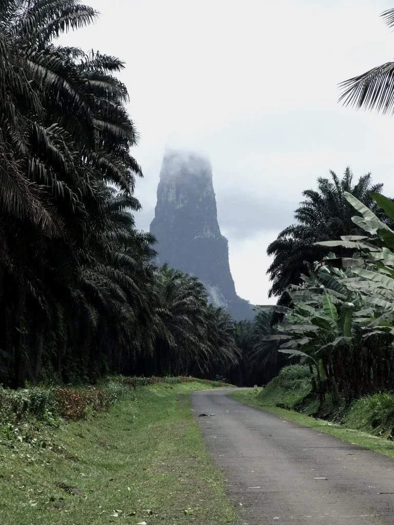 A winding dirt road surrounded by dense tropical palm trees leading towards a large, mist-shrouded mountain in the distance.