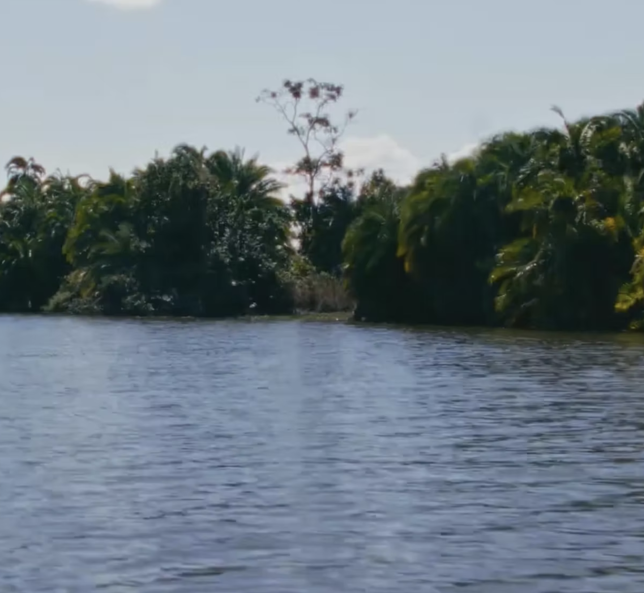 Boat safari in Rwanda