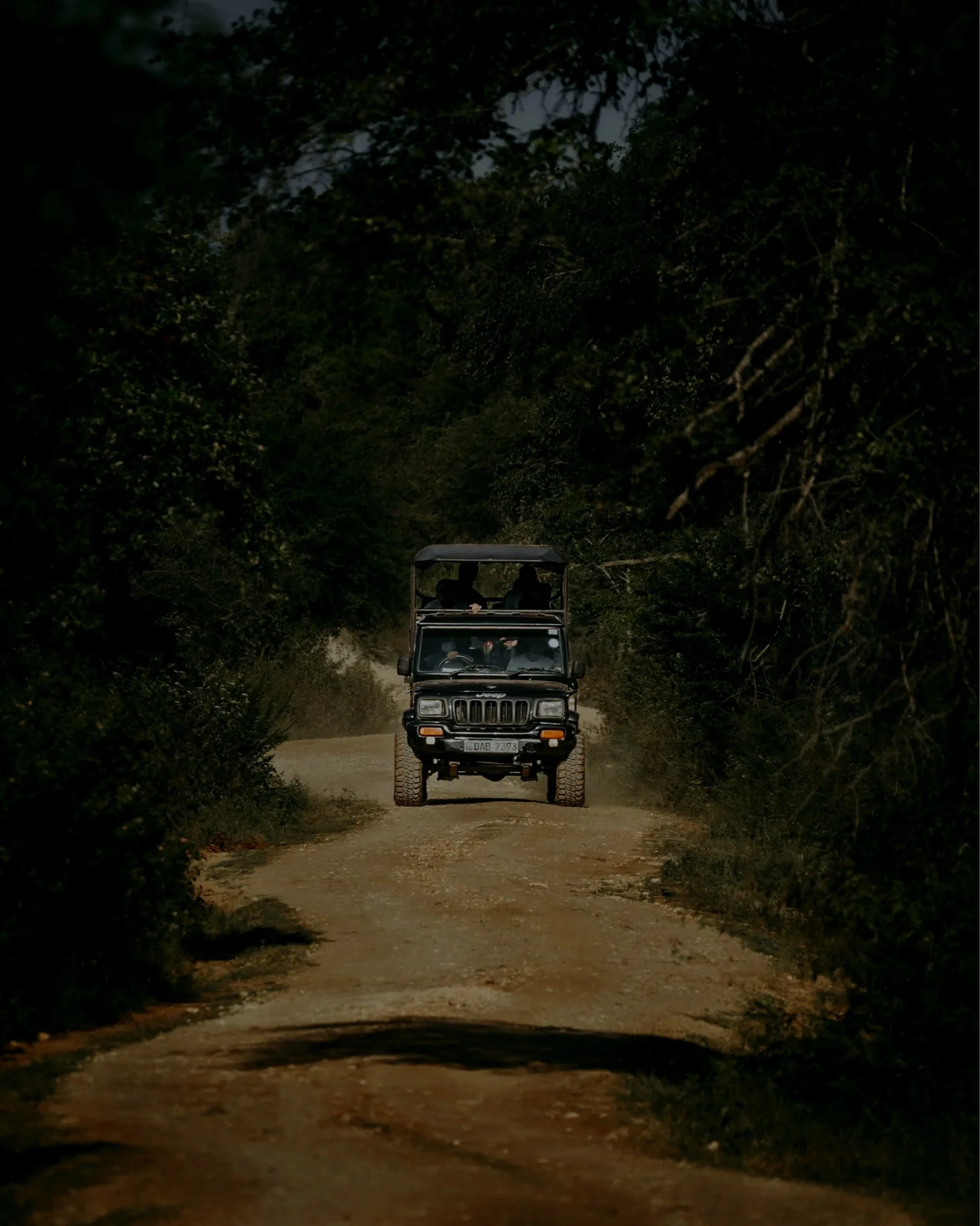 A black Jeep driving on a dirt road surrounded by dense trees and bushes.