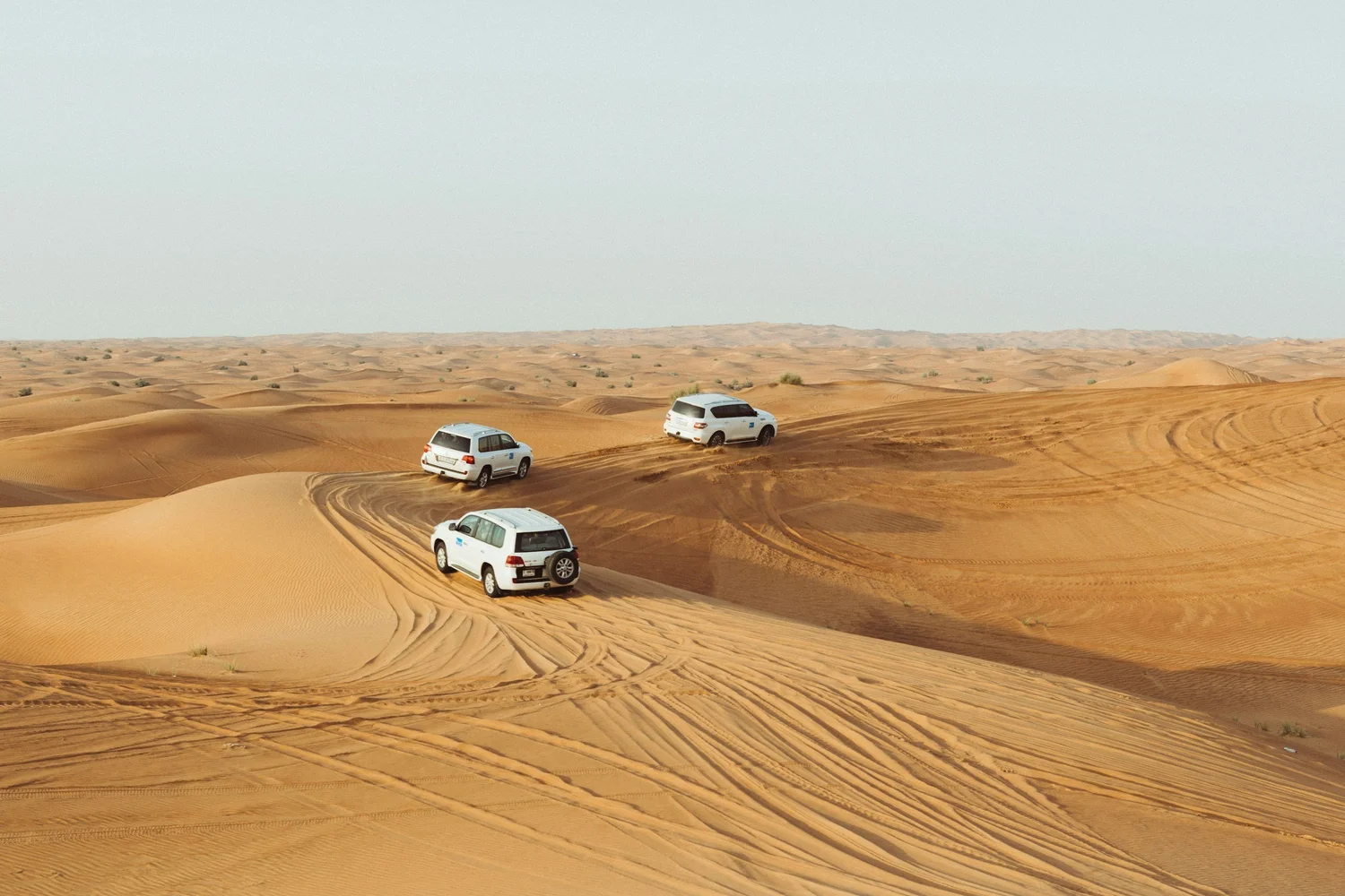 Four white SUVs driving on sand dunes in a desert landscape, with tire tracks visible on the sand.