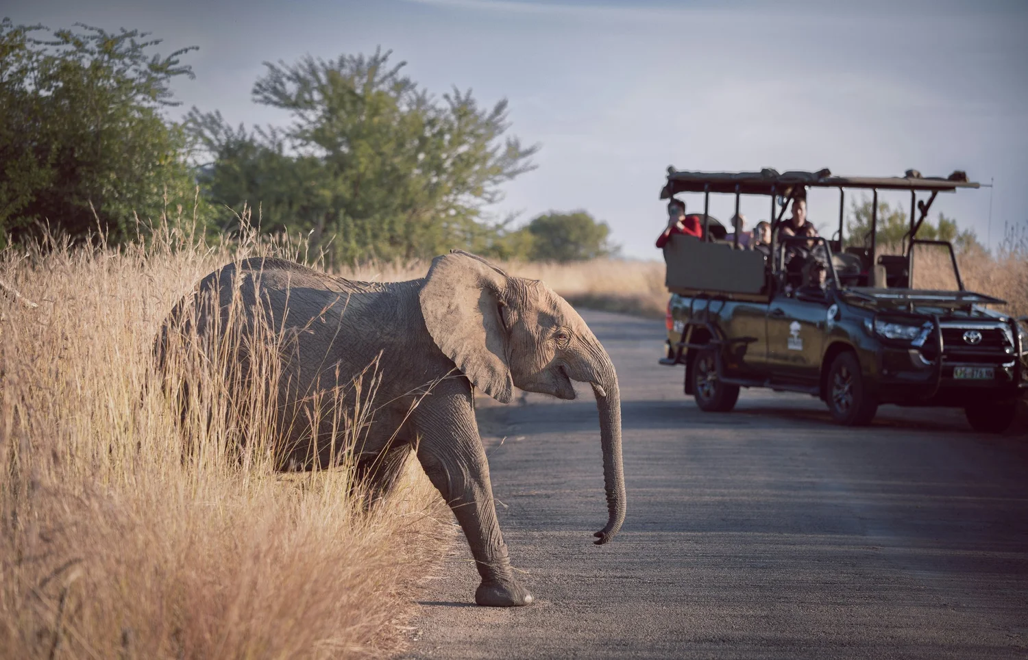 Pilanesberg National Park 