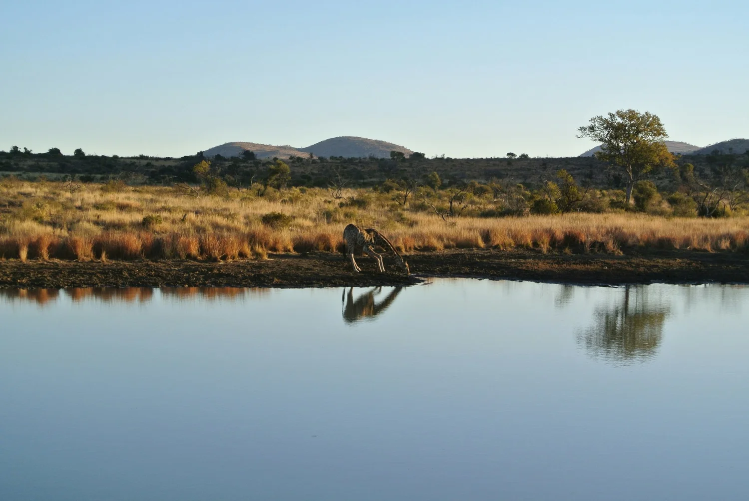 Matobo National Park