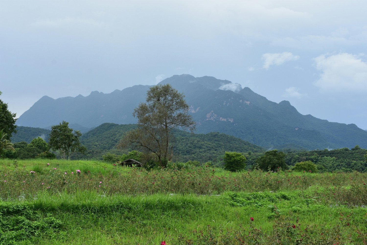 Mahale Mountains National Park