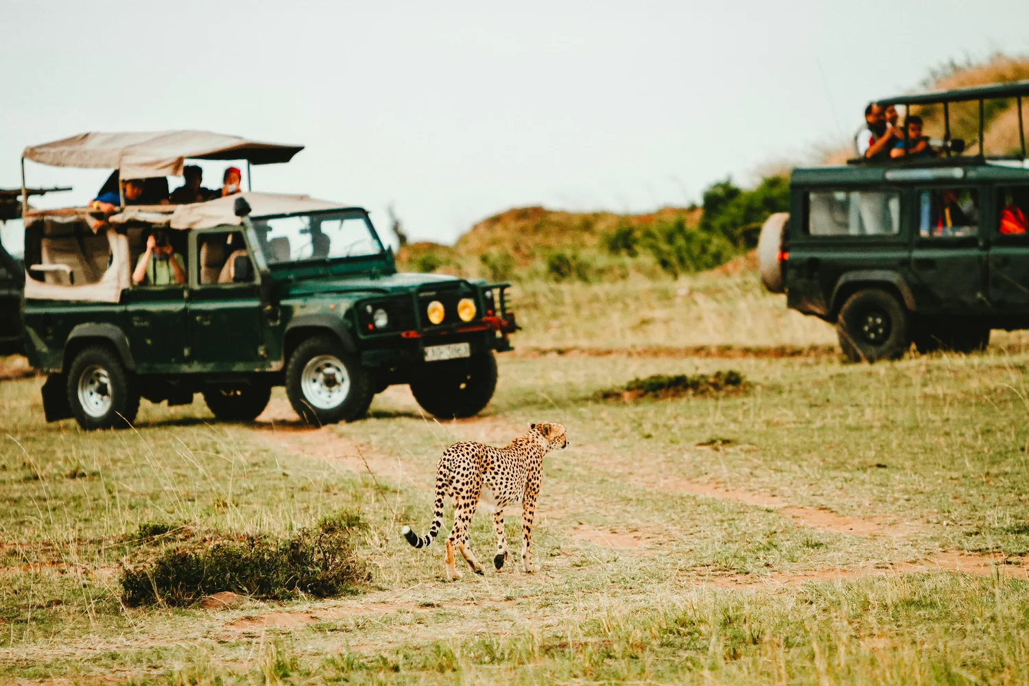Garamba National Park