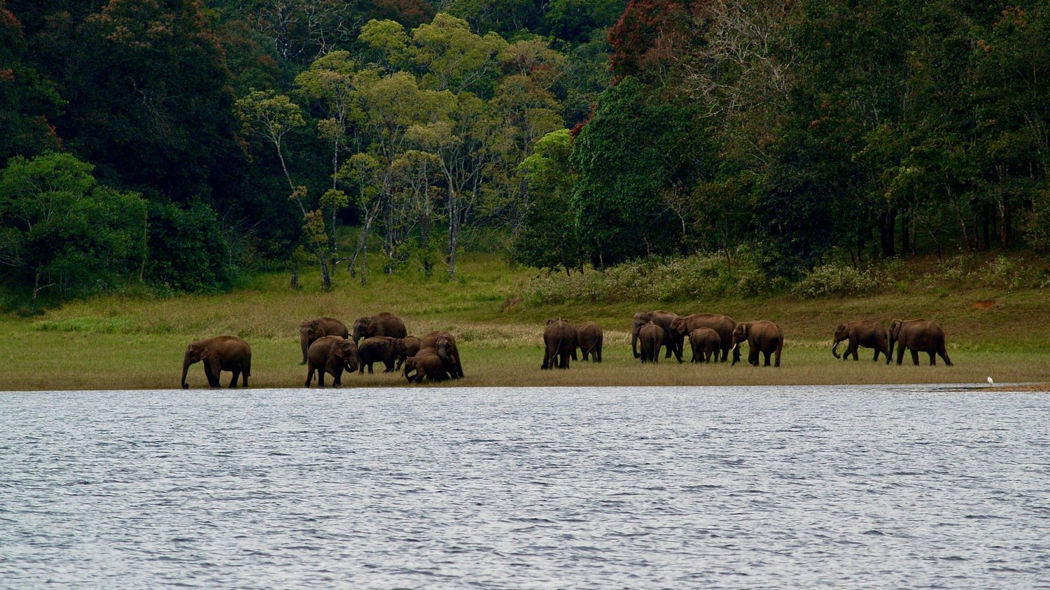 Loango National Park