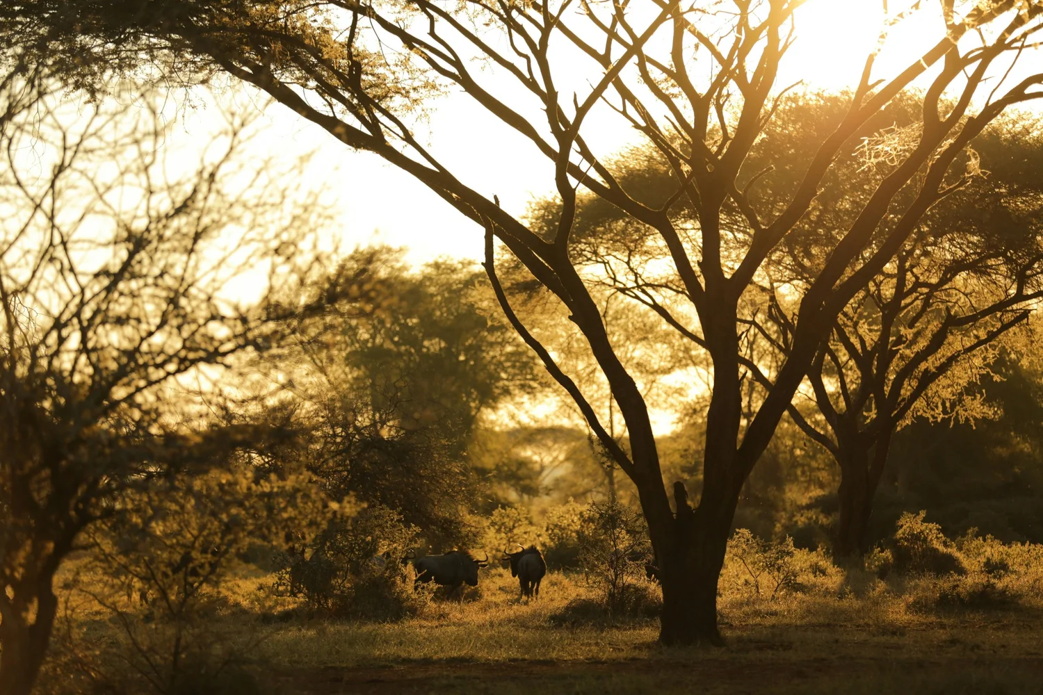 Chizarira National Park