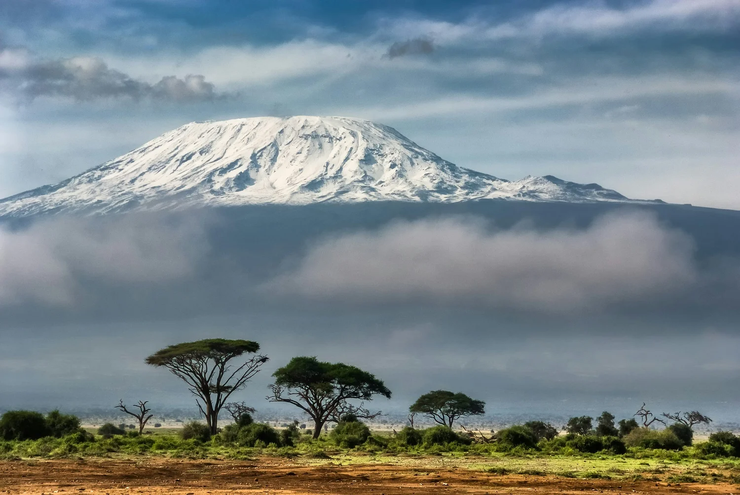 Mount Kilimanjaro National Park - Hyperlocal Safari