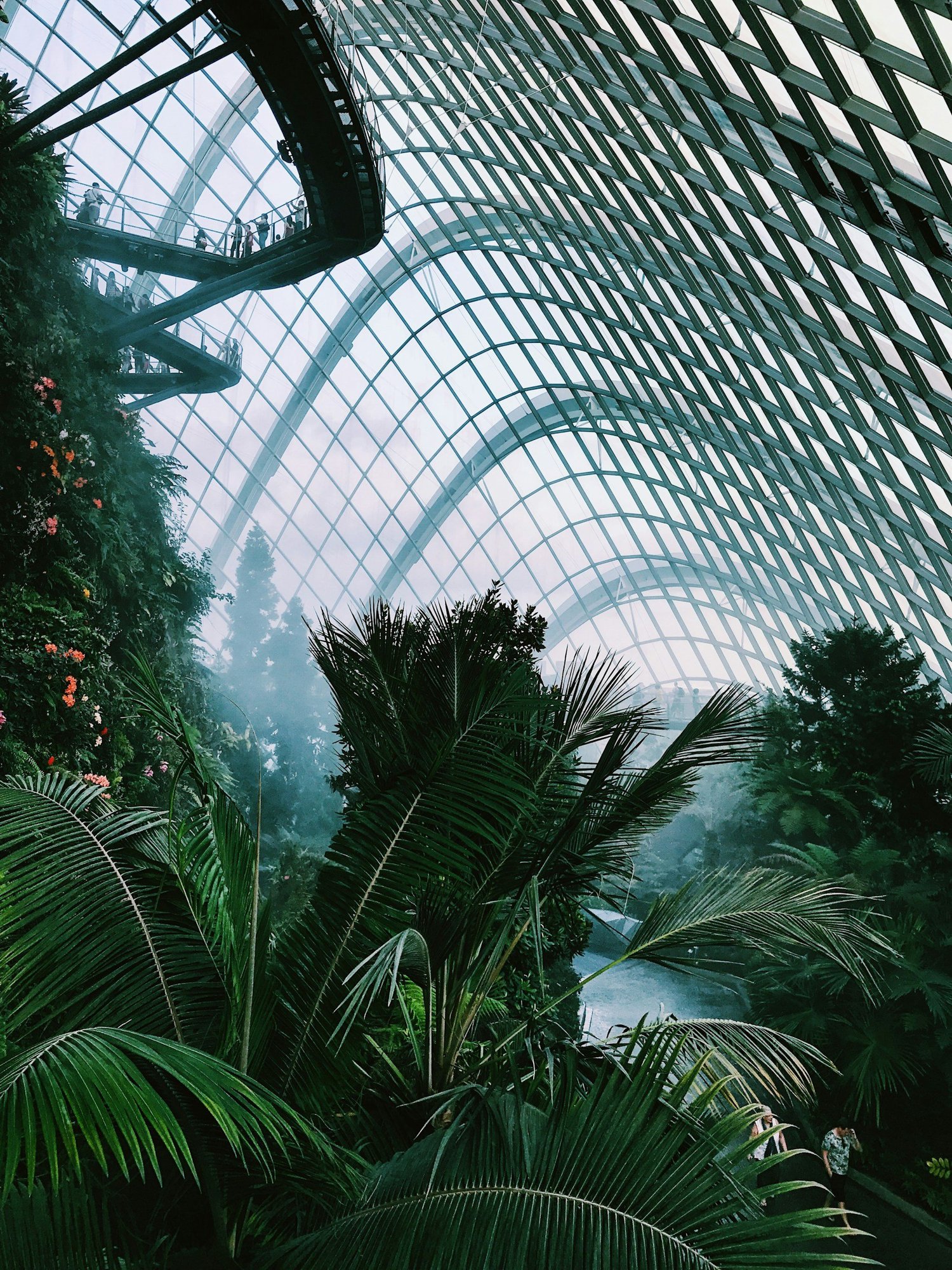 Indoor botanical garden with lush green plants and a glass dome ceiling with a spiraling walkway.