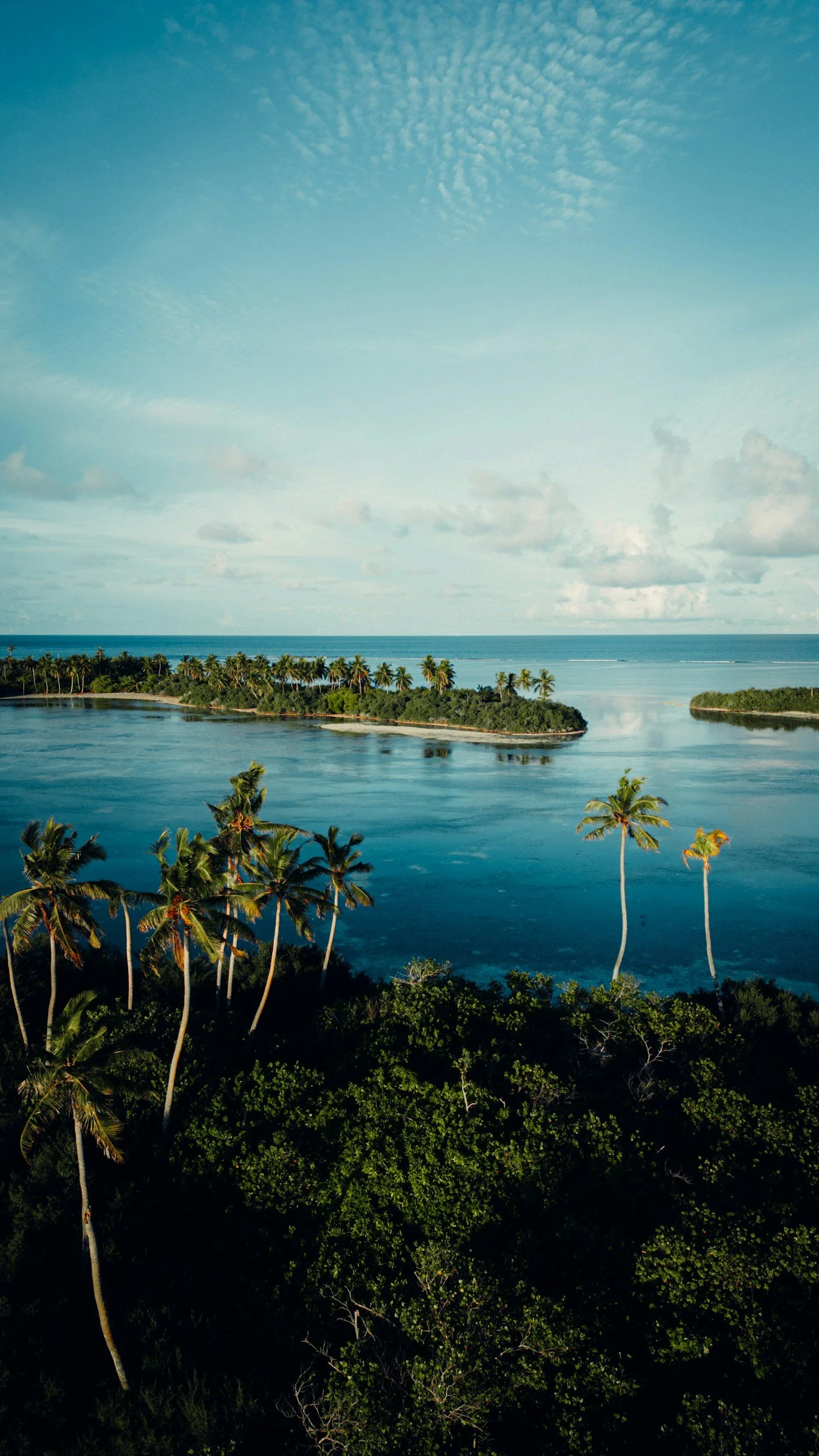 A tropical landscape with tall palm trees, a body of calm water, green islands, and a blue sky with scattered clouds.