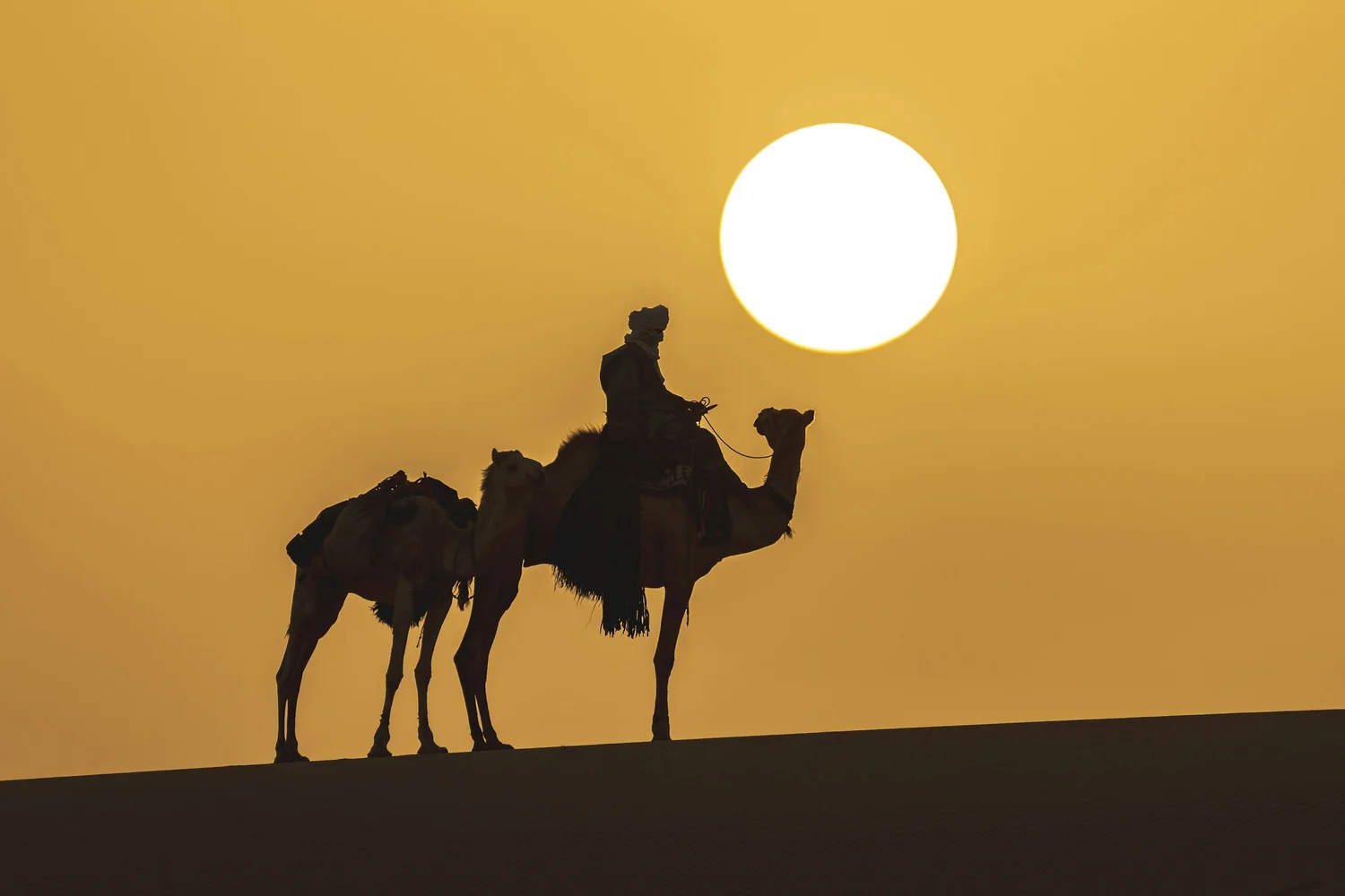 Touareg man riding camel and traveling in the middle of Tassili Hoggar sahara of Algeria - Hoggar, Tamanrasset, Algeria - Hyperlocal Algeria