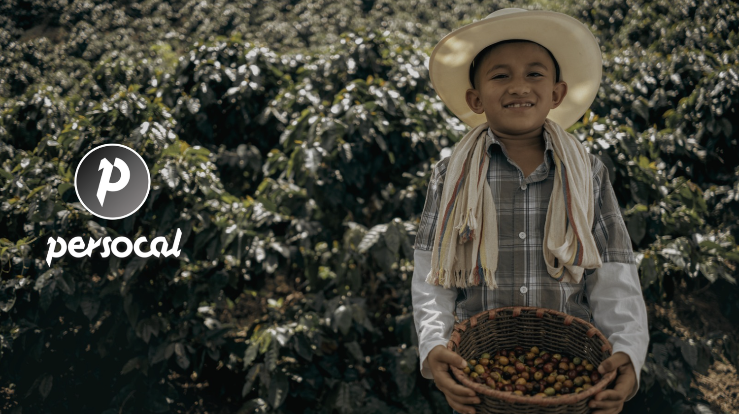 Inside Colombia's Coffee Cultural Landscape