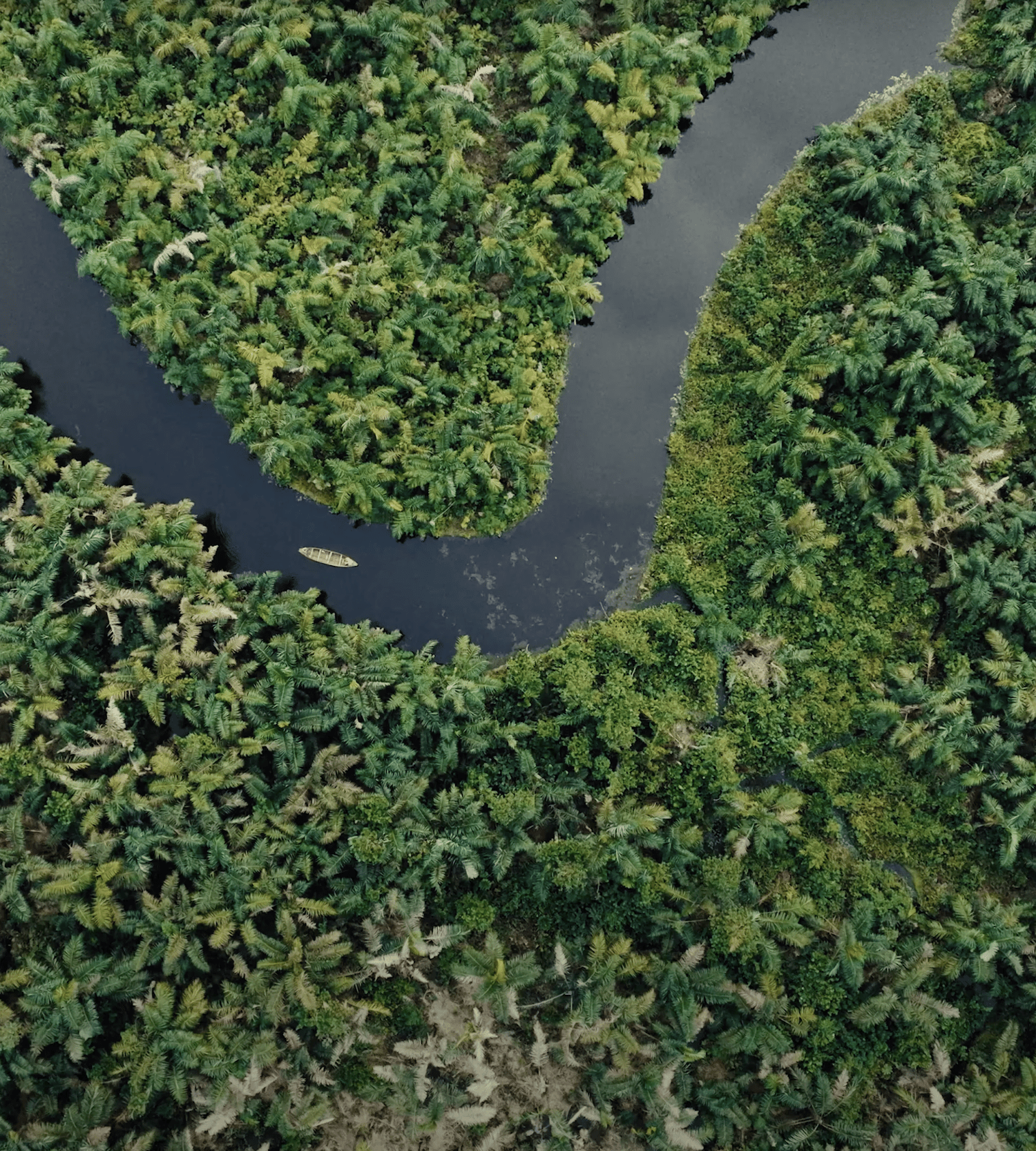 An aerial view of a winding river through a dense green jungle with a small boat on the water.