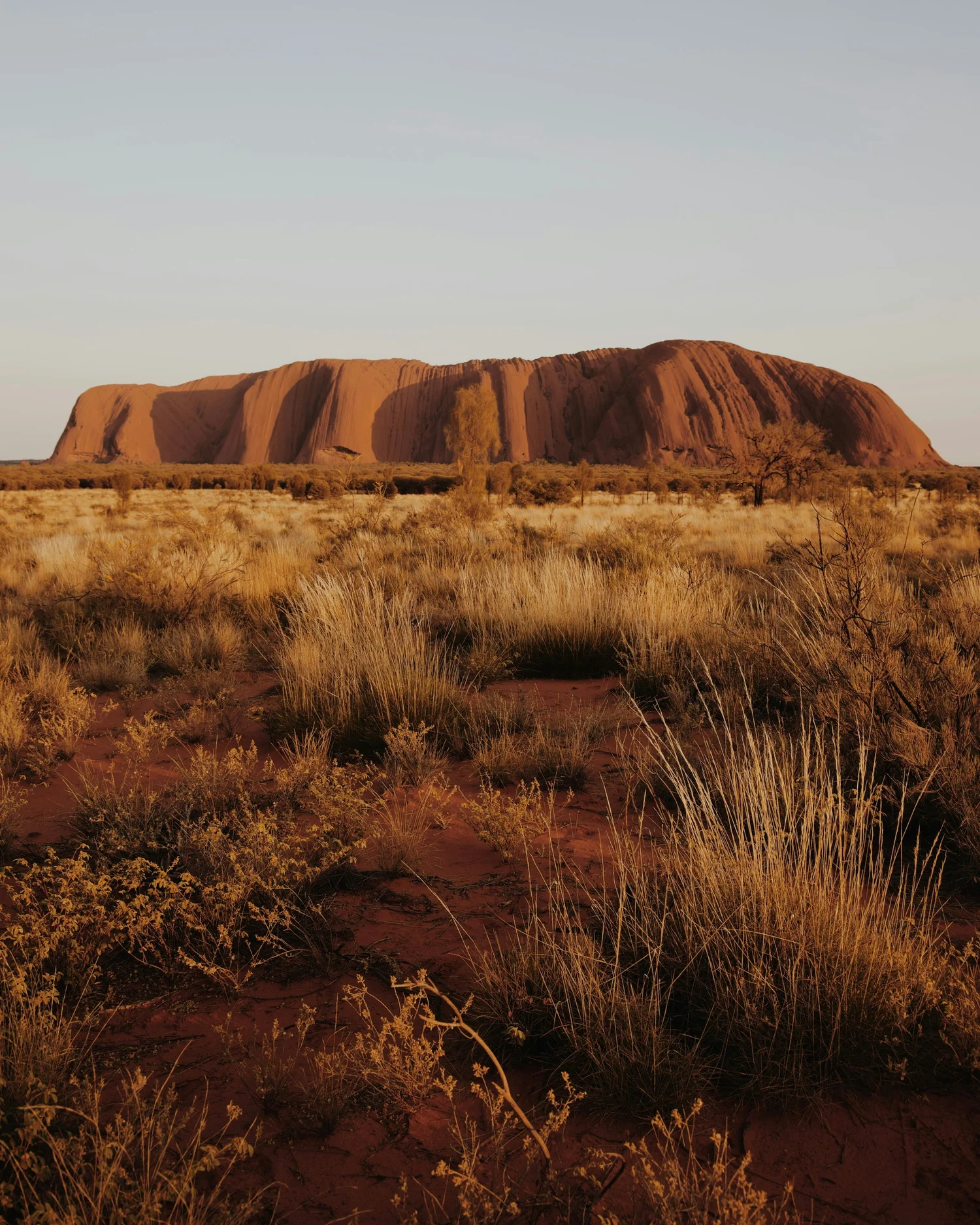 A large, reddish-brown rock formation in a desert landscape with sparse dry grass and a few trees.