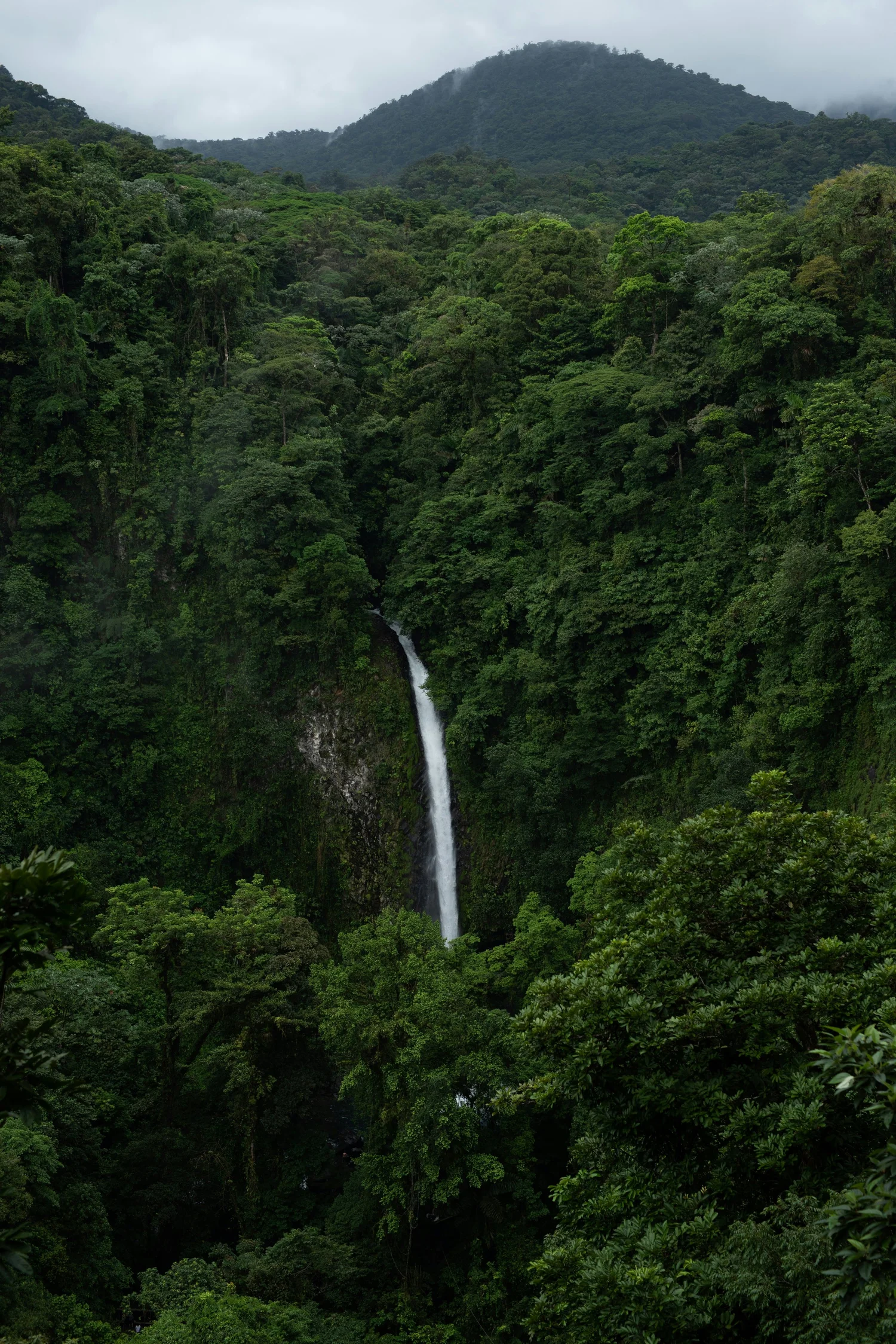 A tall waterfall flowing down a lush green forested hillside.