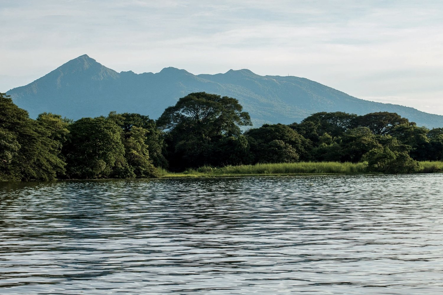 Lake with rippling water in the foreground, dense green trees lining the shore, and a mountain range in the background under a partly cloudy sky.