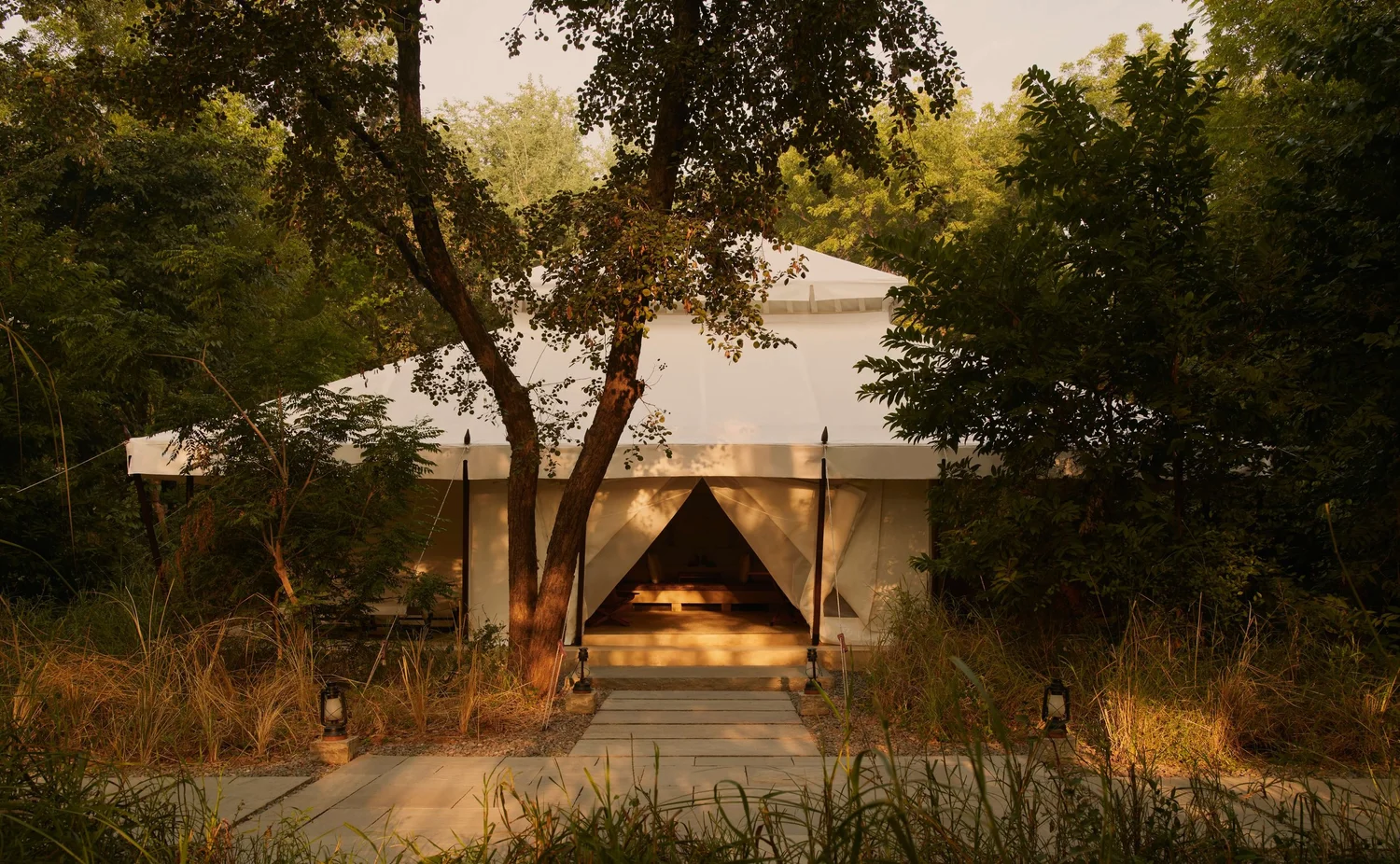 A tent with an open entrance, surrounded by trees and bushes, with a stone pathway leading to it, and outdoor lanterns on both sides of the pathway.
