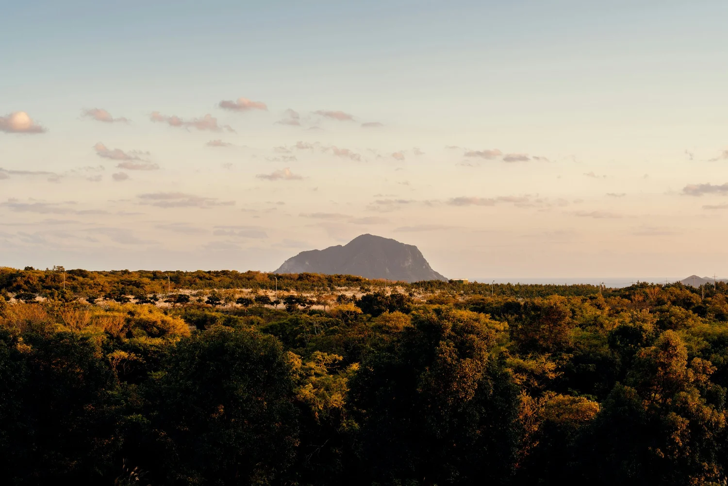 Landscape with dense green trees in foreground, a distant mountain, and a sky with scattered clouds.