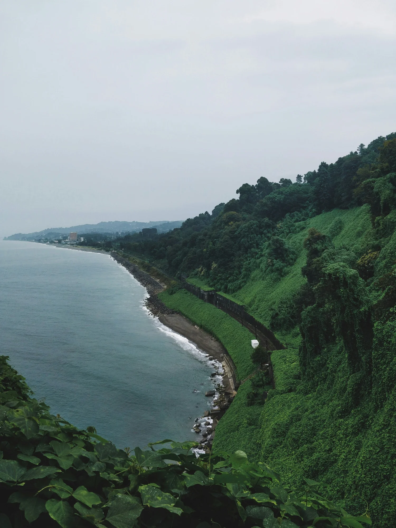 Coastal view with green cliffs, a train track, and the ocean under an overcast sky.