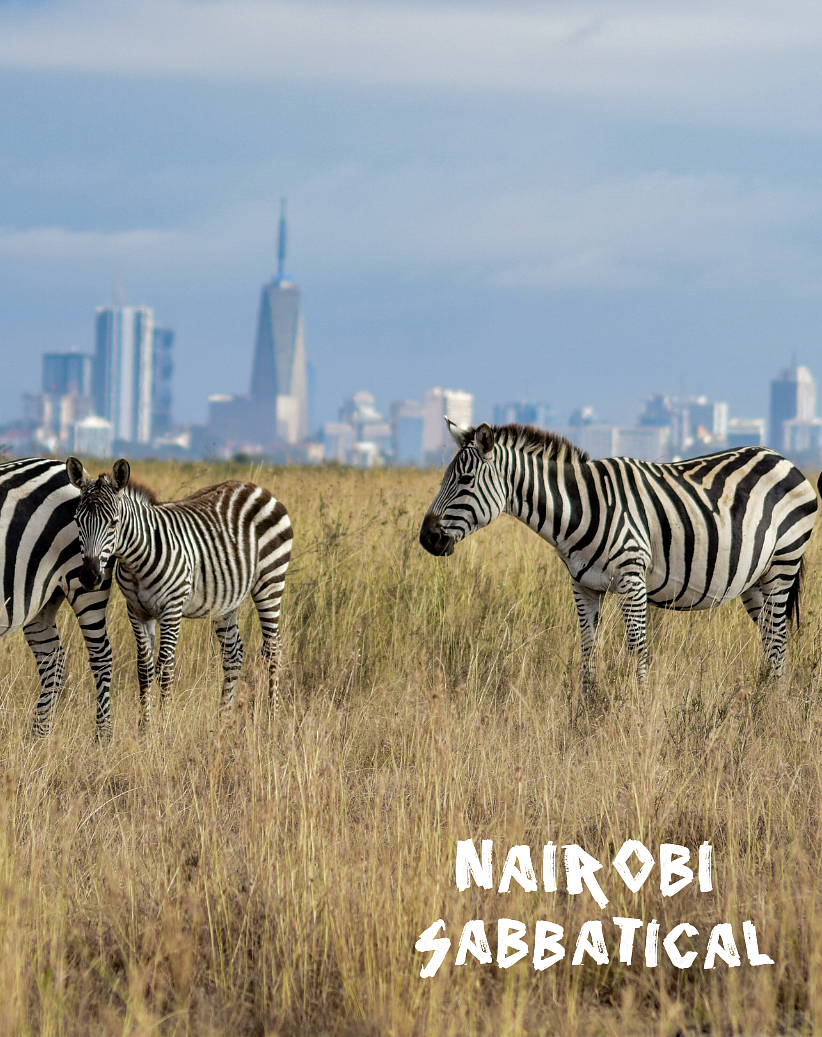 Zebras grazing in a grassy field with a city skyline, including a tall skyscraper, in the background. The words 'Nairobi Sabbatical' are written in white text at the bottom.