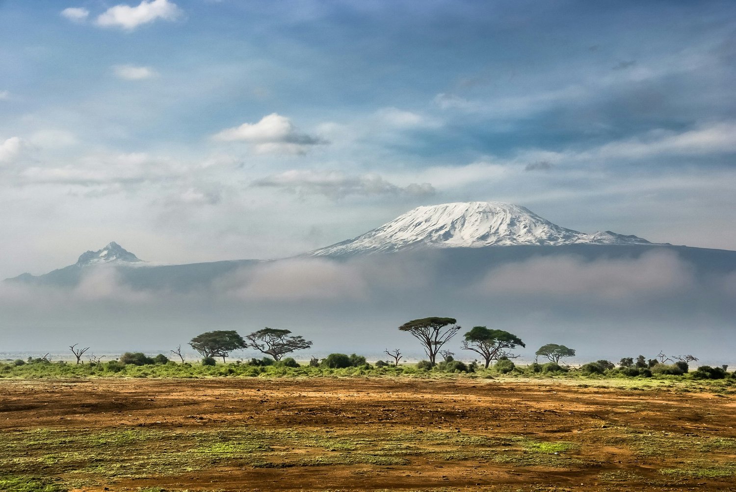 View of Kilimanjaro from Amboseli National Park, Kenya - Hyperlocal Safari