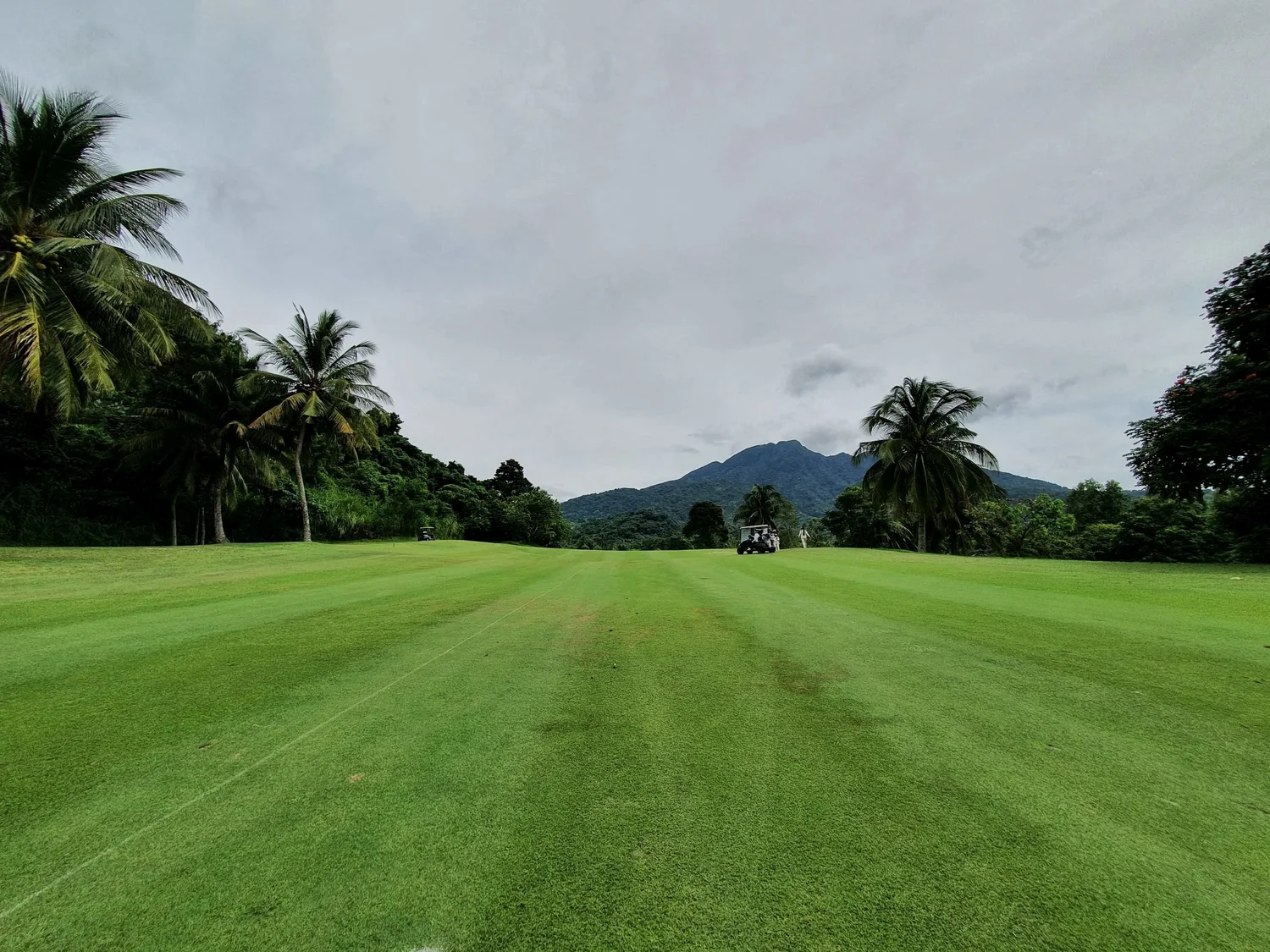 View of a golf course with green grass, palm trees, a mountain in the background, and golf carts on the course under a cloudy sky.