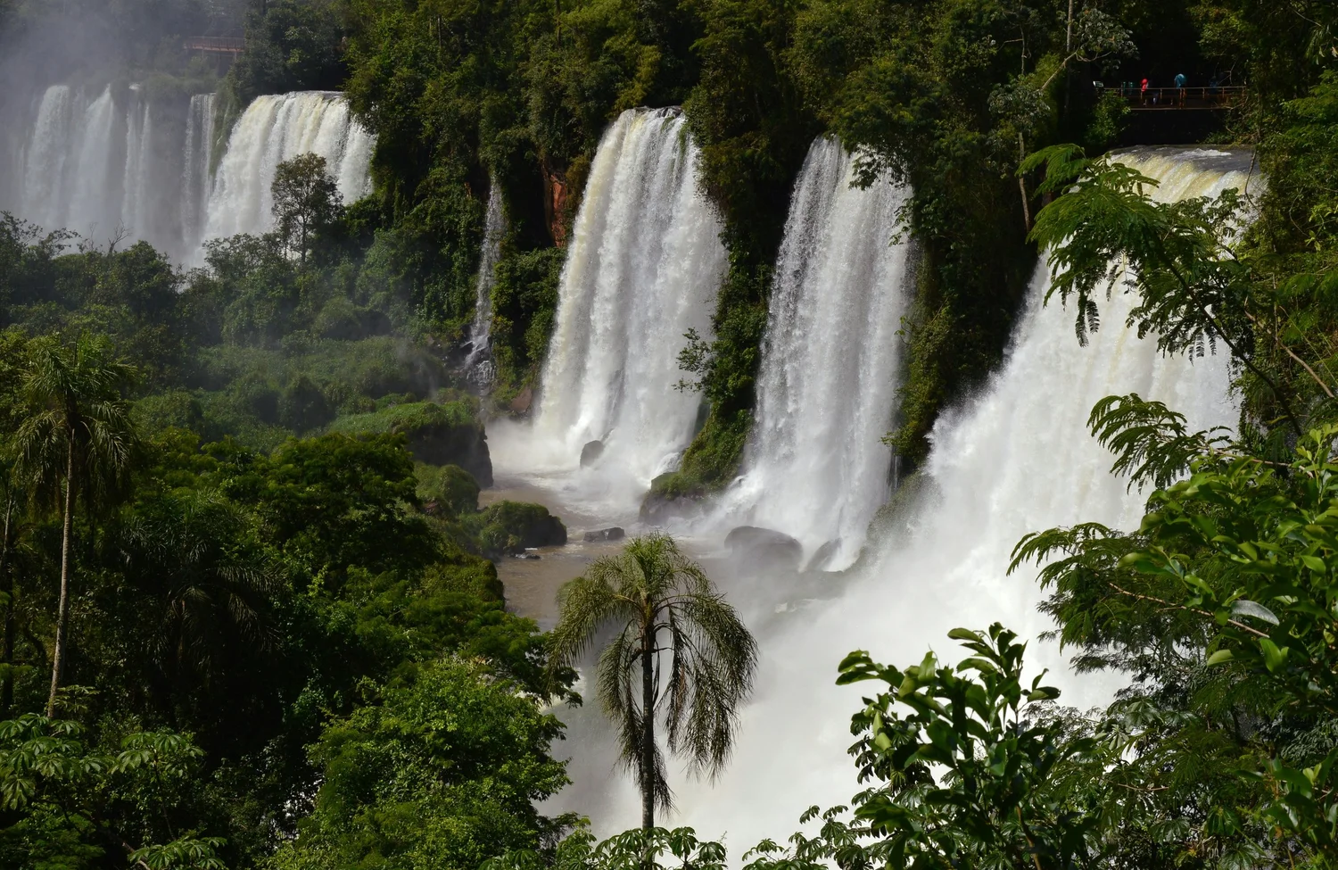 Multiple waterfalls cascading down a lush green forested area with dense foliage and trees surrounding.
