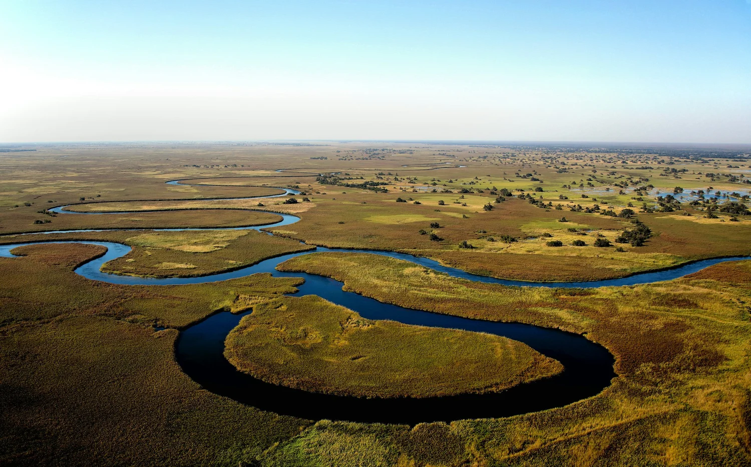 Aerial shot of the Okavango River - Hyperlocal Safari
