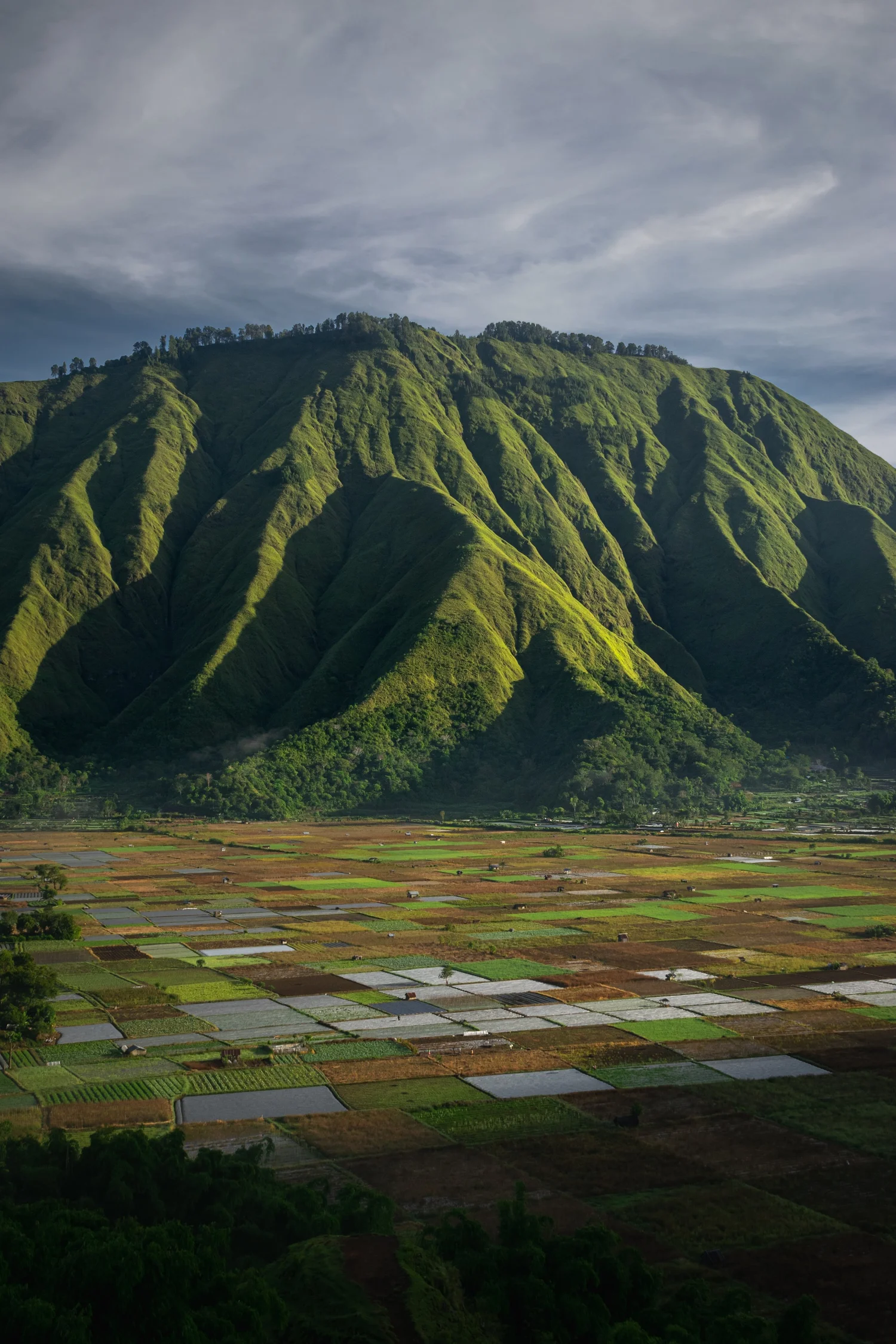 A landscape featuring a green mountainous range towering over a patchwork of cultivated fields.