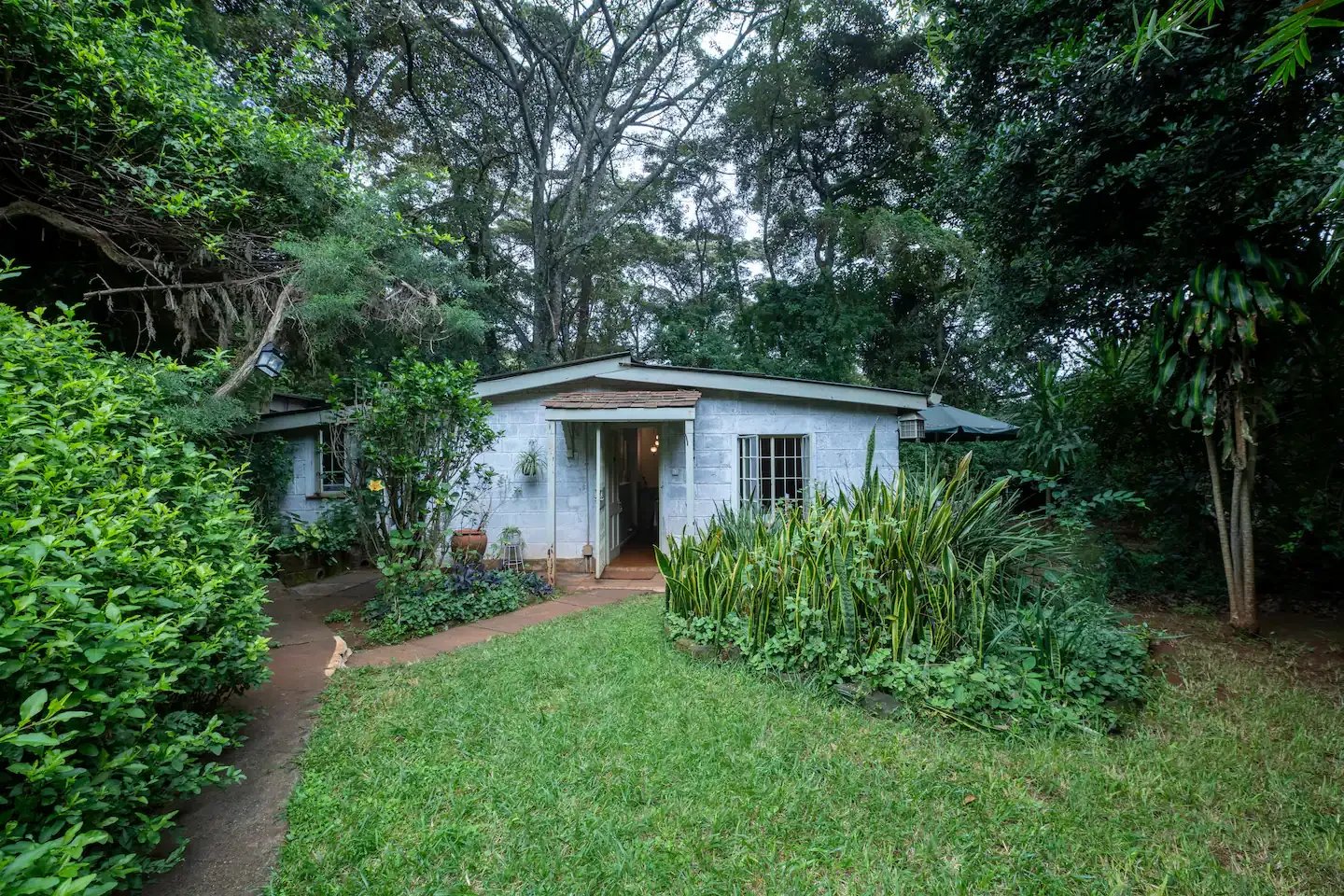 Small white house with a brown door, surrounded by lush green plants and trees in a garden.