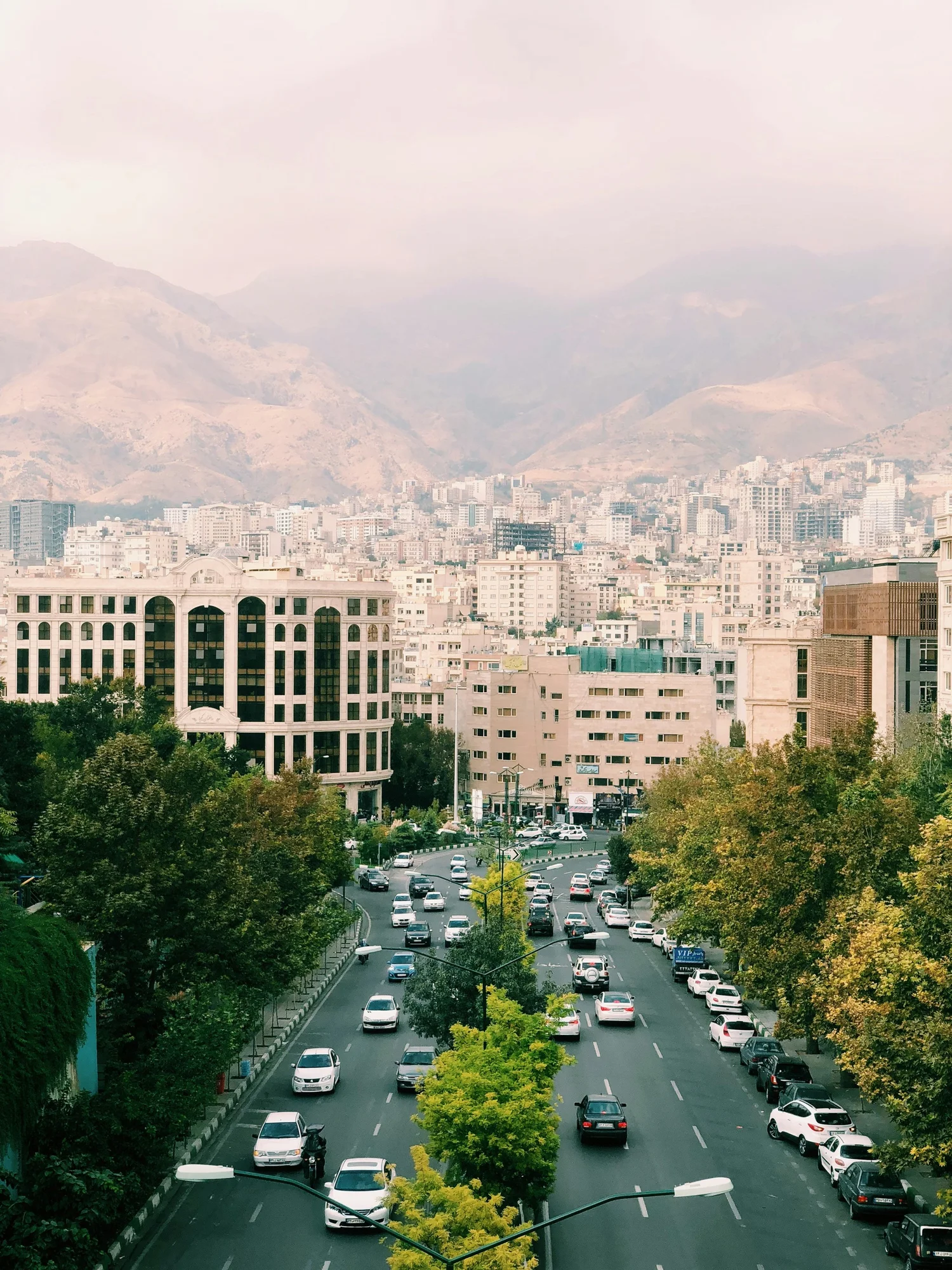 City street with cars and trees, buildings, mountainous background, overcast sky