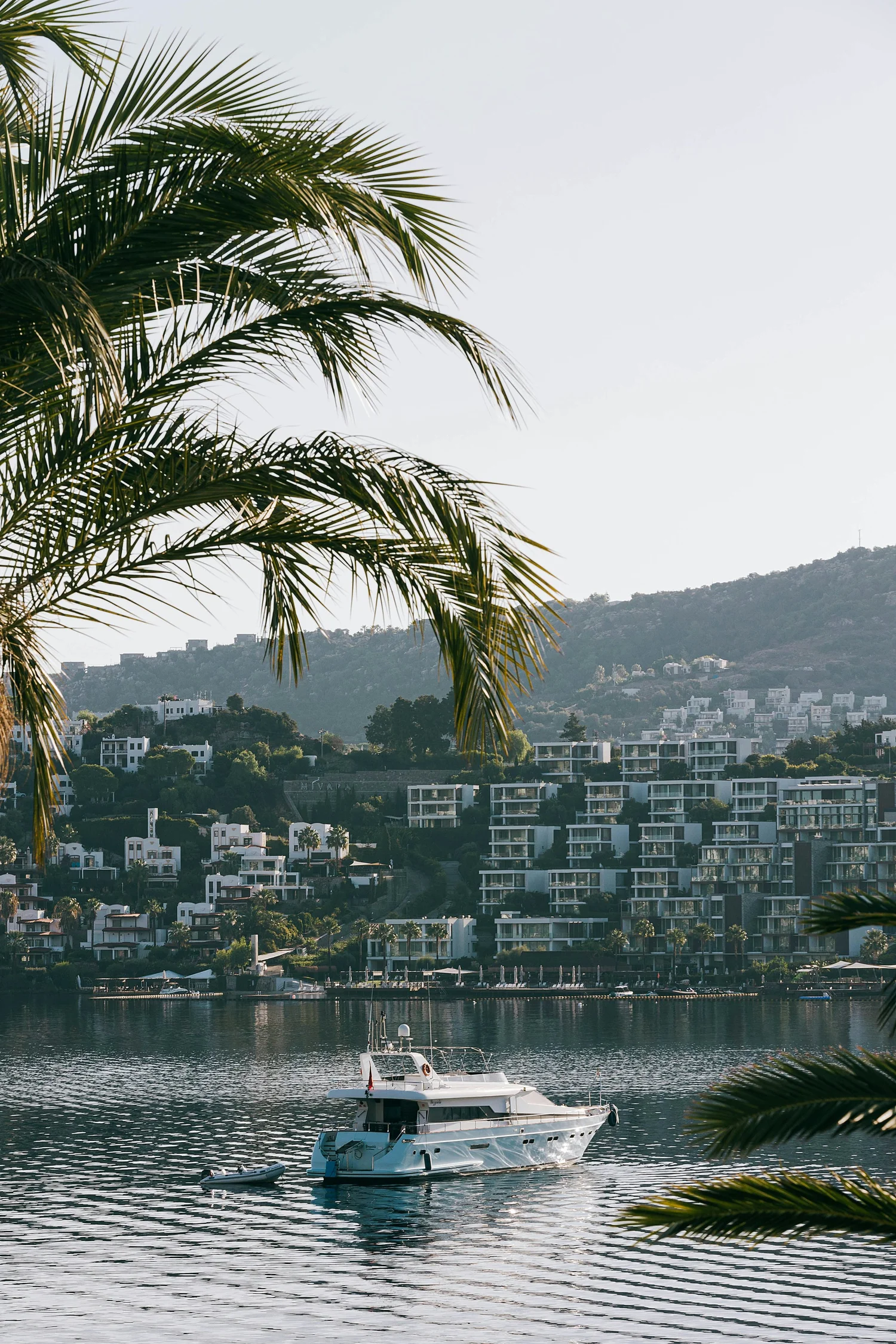 Luxury white yacht floating on calm water with hillside residential buildings and lush greenery in the background, framed by palm tree leaves.