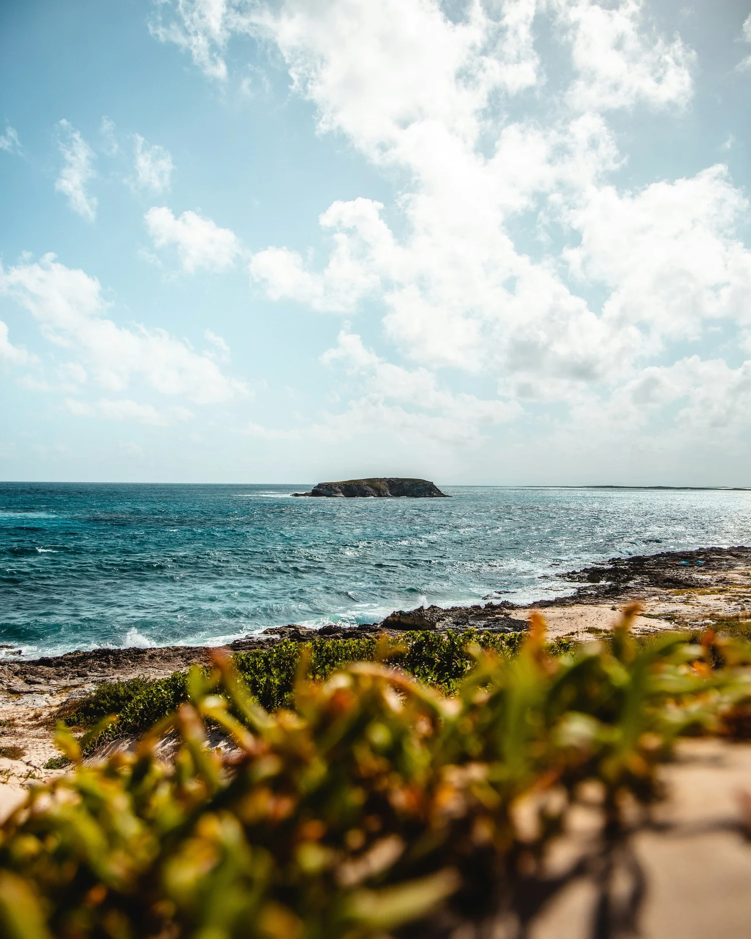 Scenic view of a rocky coastline with green shrubs in the foreground, a small island or large rock formation in the distance, calm blue ocean waters, and a partly cloudy sky.