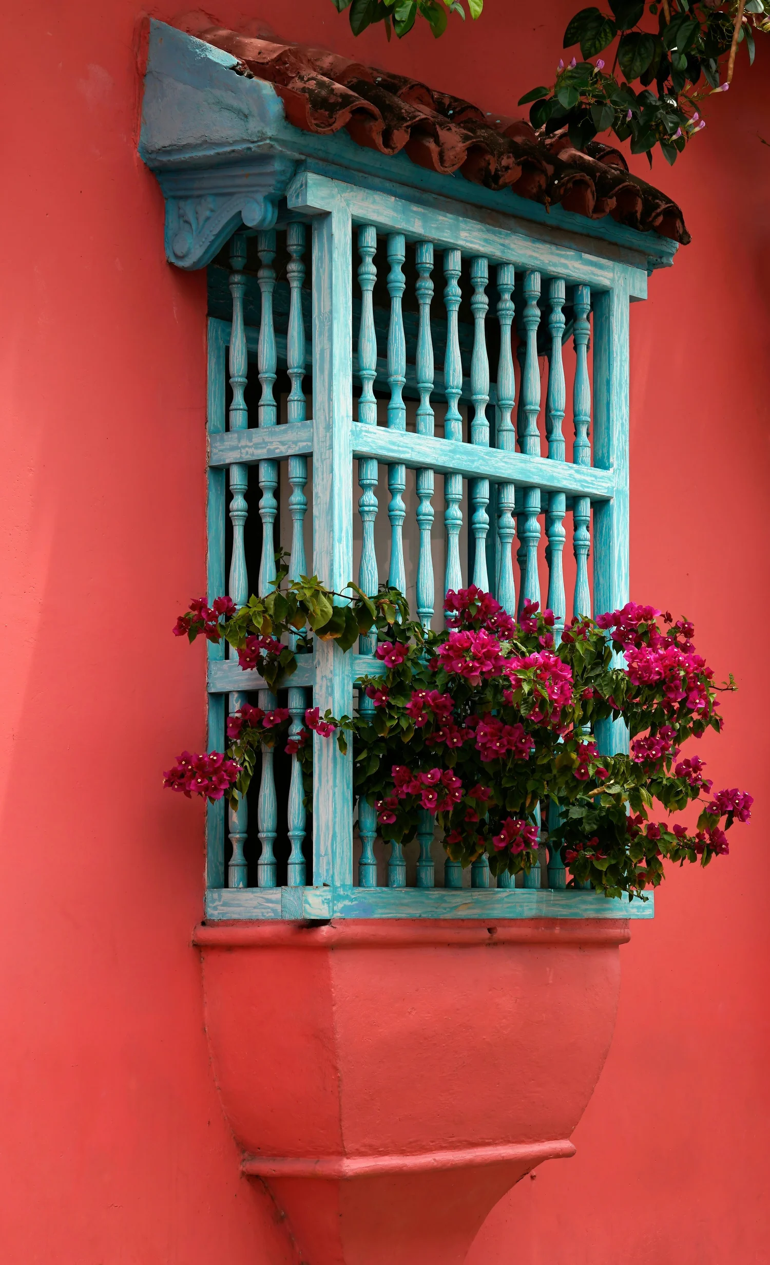 A coral-colored wall with a blue wooden window frame, featuring intricate turned spindles and a small roof with clay tiles. A pink flowering plant in a planter box is attached below the window, and green leaves with small purple flowers extend above.