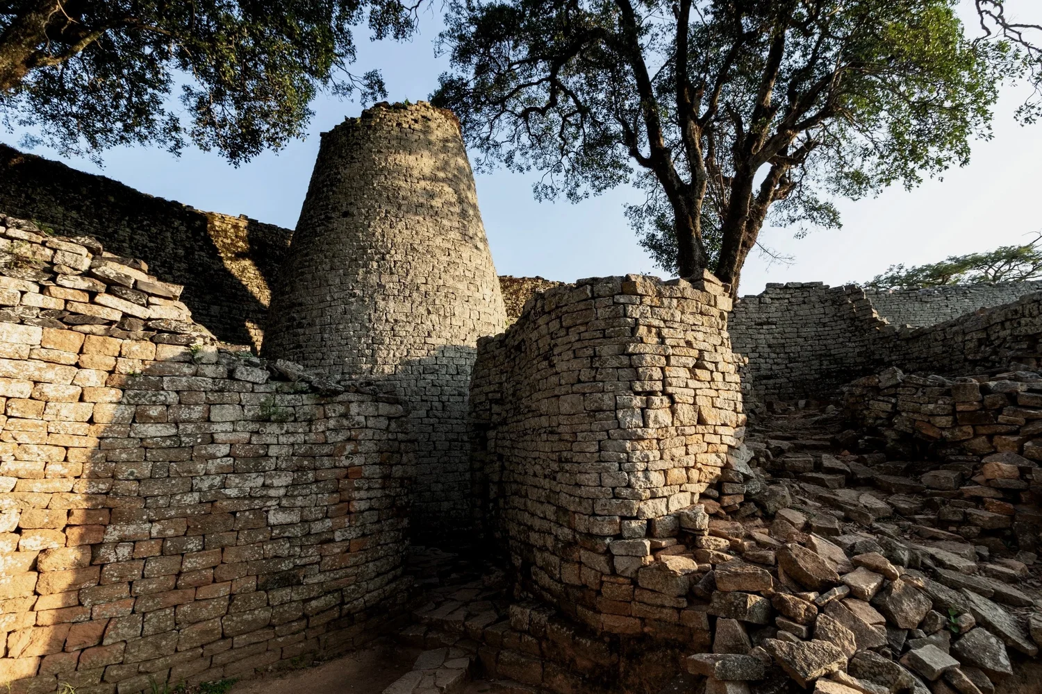 Ancient stone ruins with a circular tower and a large tree.