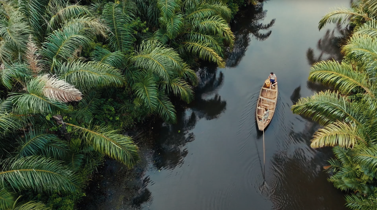 Two people in a wooden boat on a narrow river surrounded by lush palm trees.