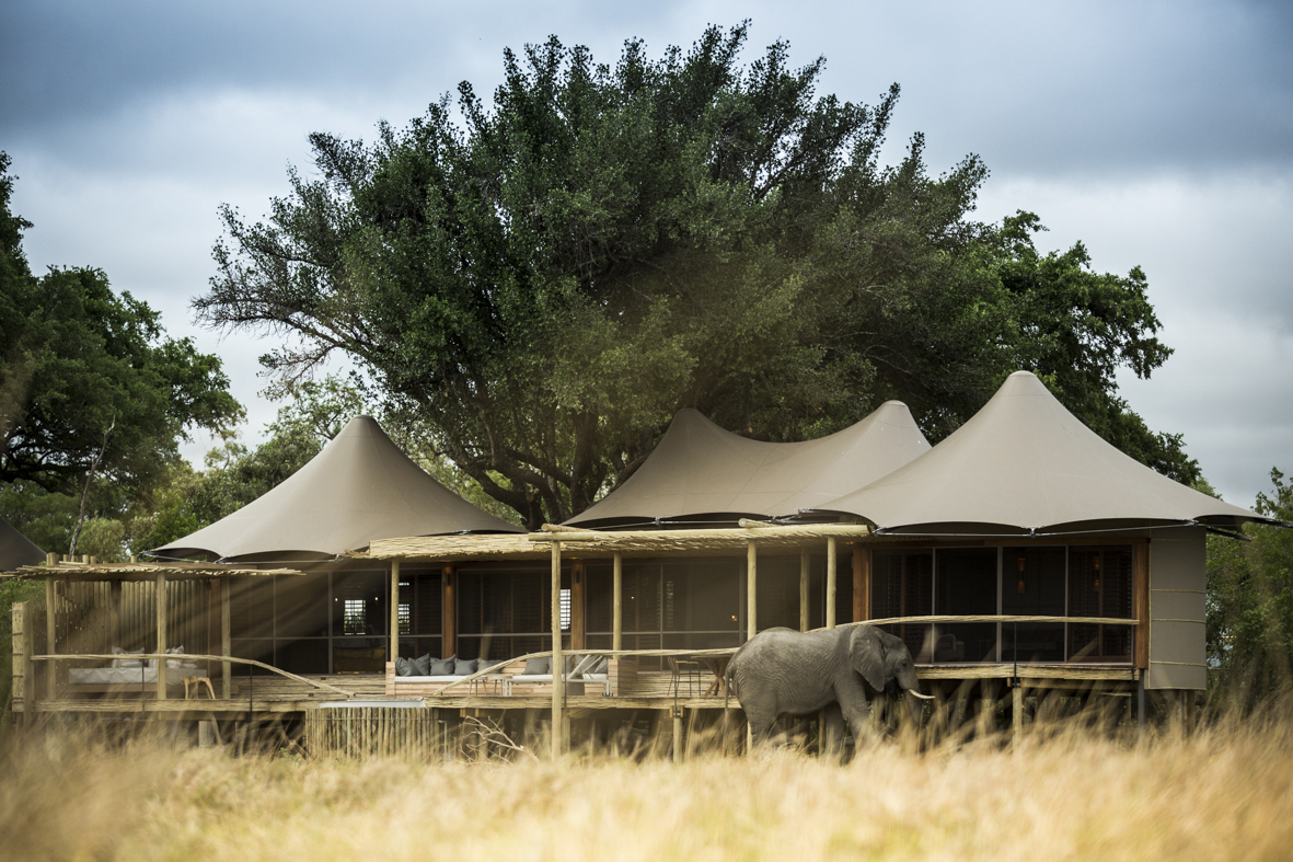 A luxurious safari-style tented hotel with a large elephant walking nearby in a grassy field, surrounded by trees and under a cloudy sky.