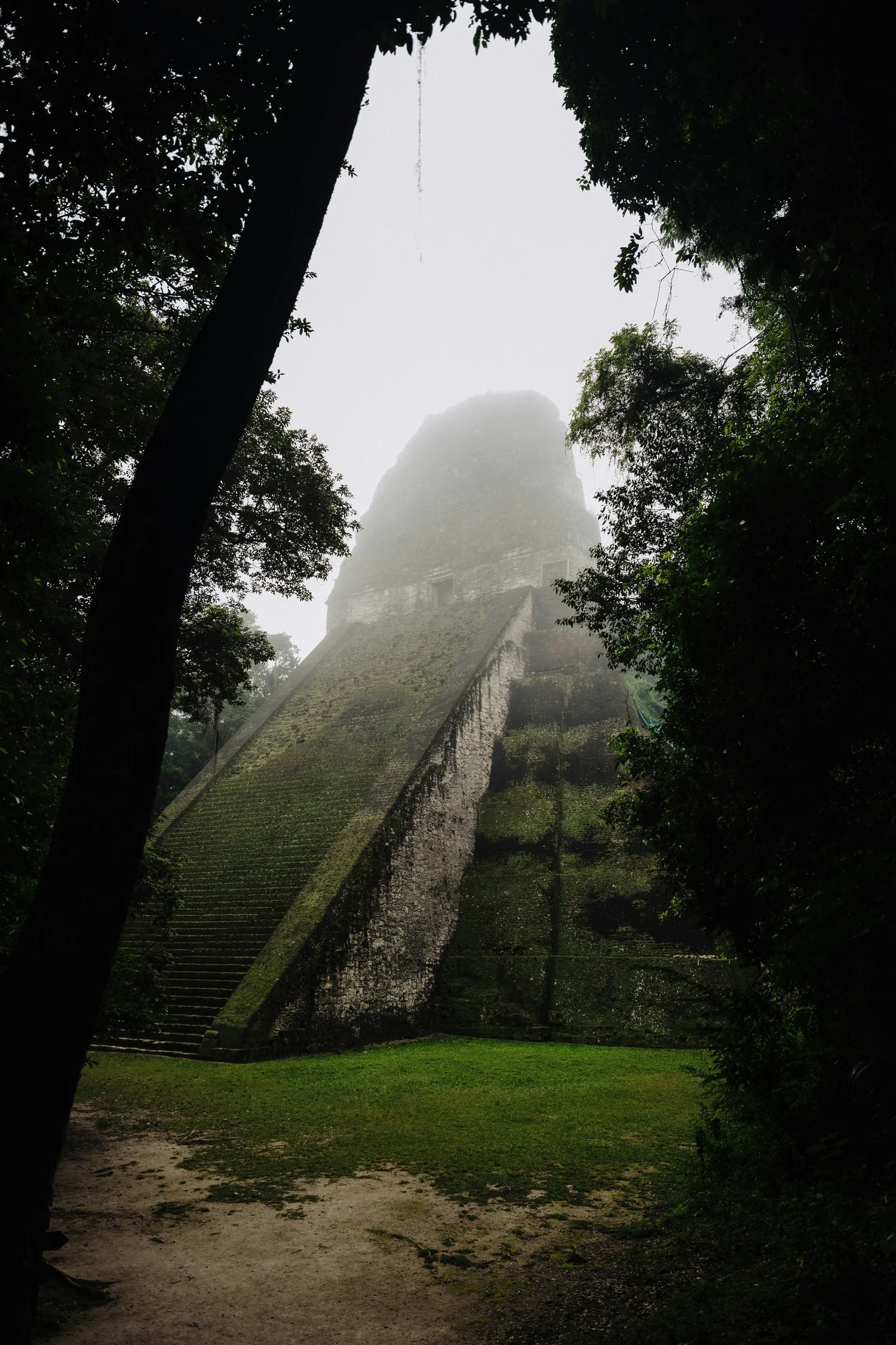 Ancient Mayan pyramid in a lush, foggy jungle.