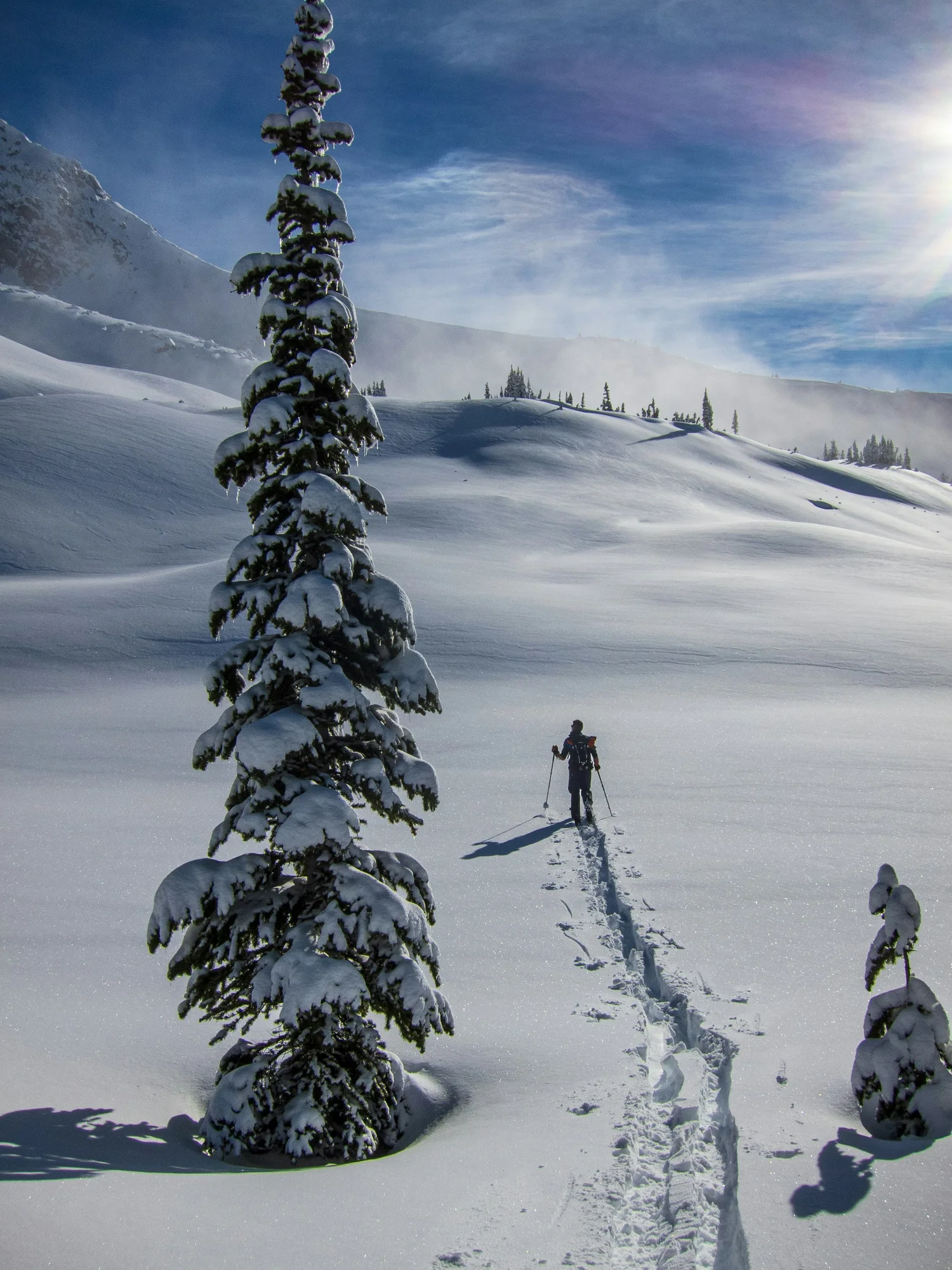 A person snowshoeing in a snowy, mountainous landscape with a large snow-covered pine tree in the foreground and a blue sky with the sun shining