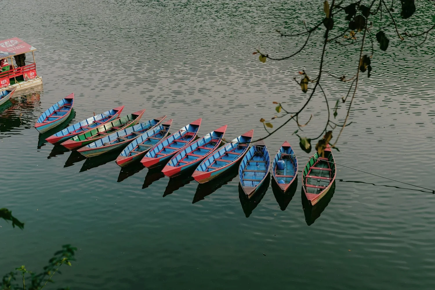 A row of colorful boats, painted in blue, red, and green, are floating on calm water. There are tree branches with leaves hanging over the water in the foreground.
