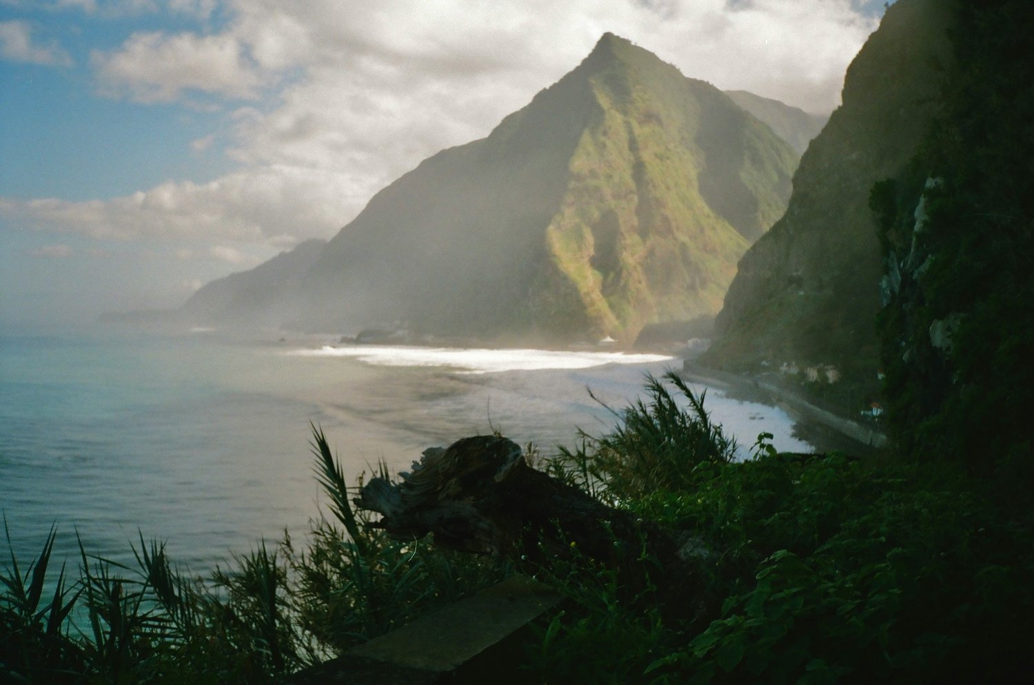 Coastal scene with large green mountains, ocean waves, and cloudy sky, seen from a hillside with plants and a piece of driftwood in the foreground.