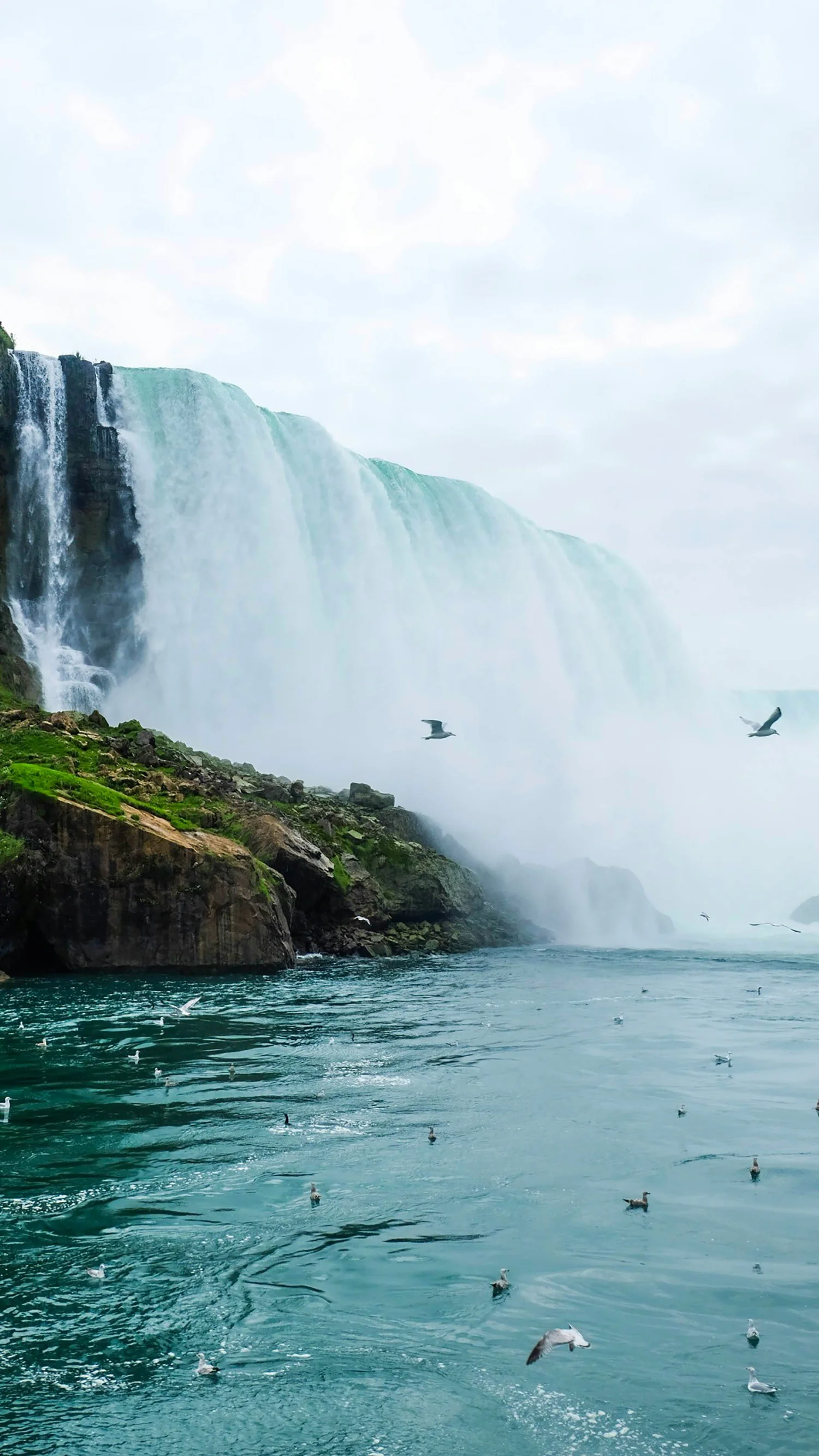 Niagara Falls with water cascading over the falls, seagulls flying in the sky, and birds swimming in the river below.