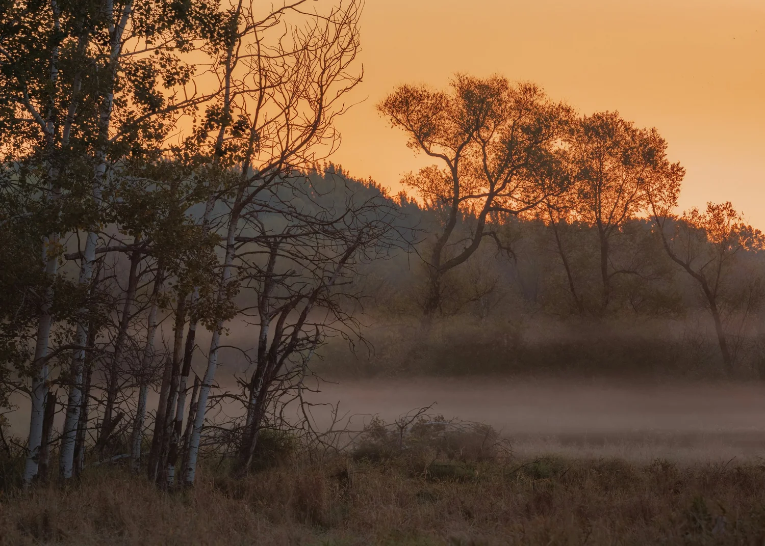 Odzala-Kokoua National Park - Hyperlocal Safari